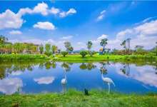 嵩明县国企要出让旗下地产公司100%股权-看看云南