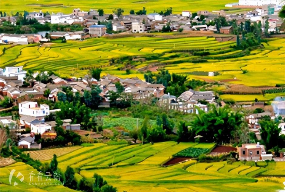大理州，弥渡县实景