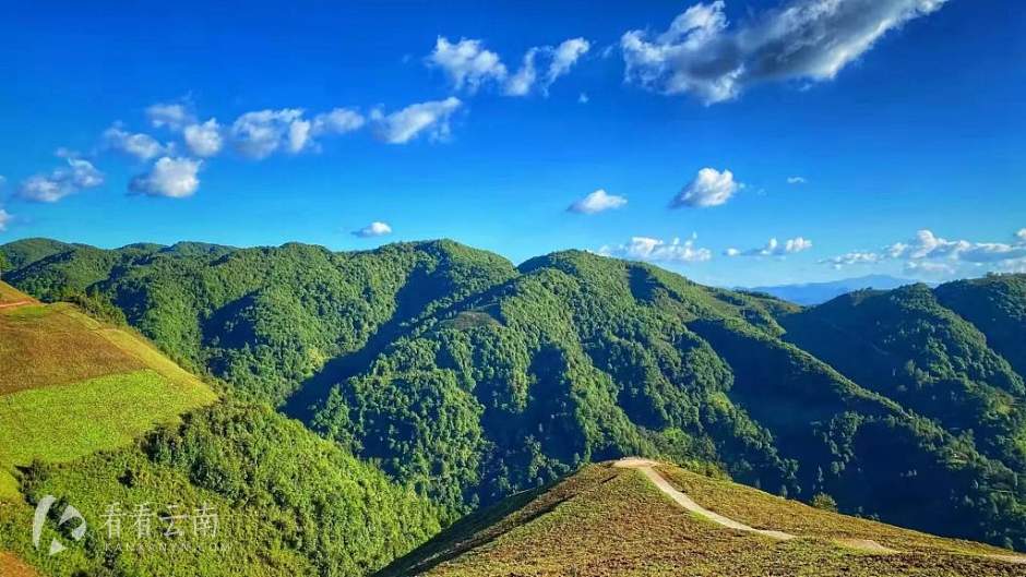 凤庆勐佑镇一角