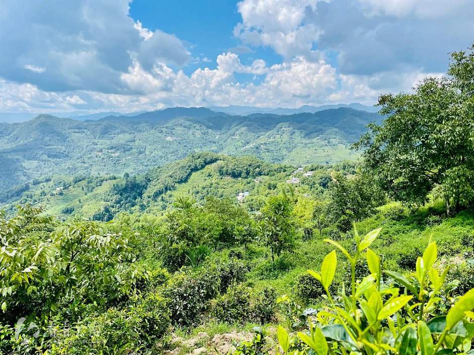 凤庆勐佑镇驱车立达村茶山一角