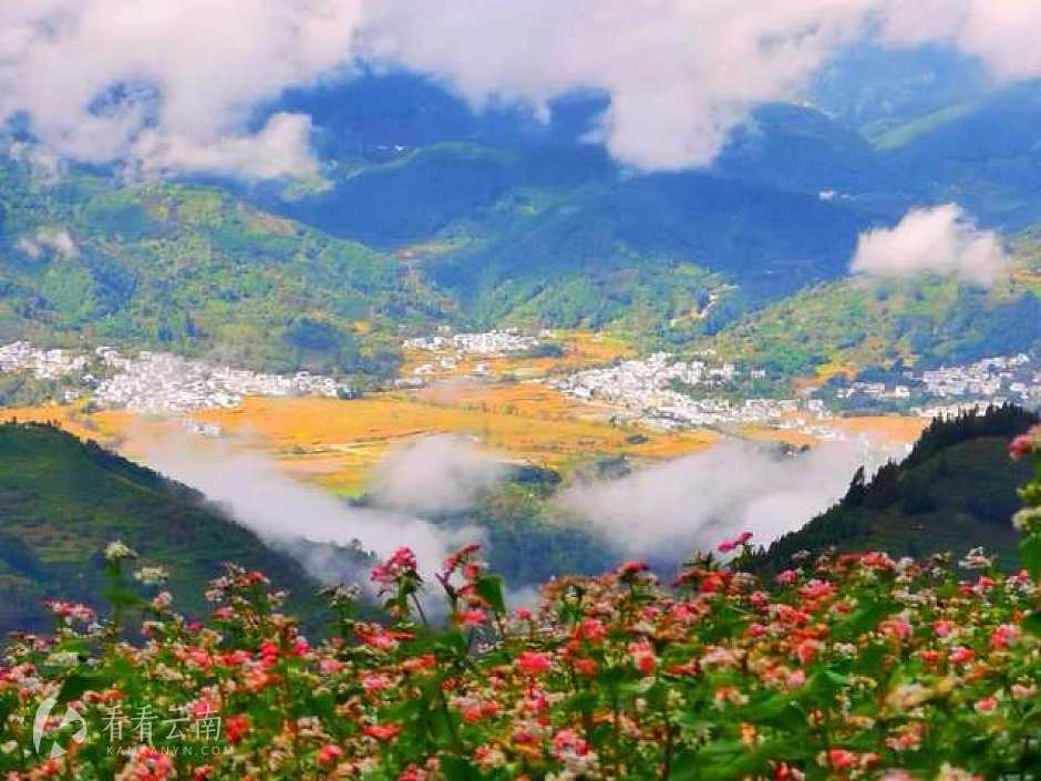 凤庆县勐佑镇实景（去年实景图）