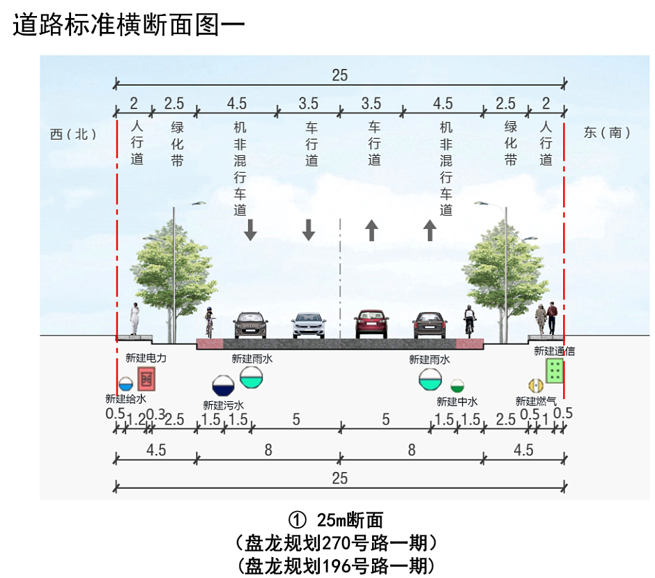 25米宽道路横截面图