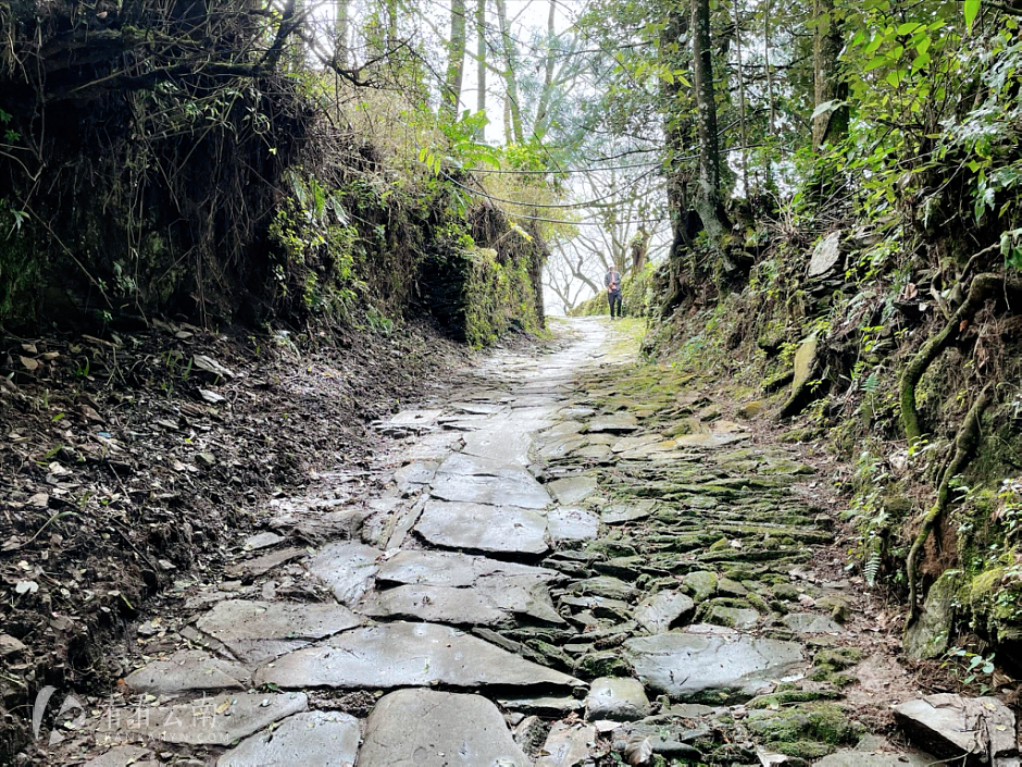 凤庆,鲁史古镇沿河塘房村现存茶马古道实景