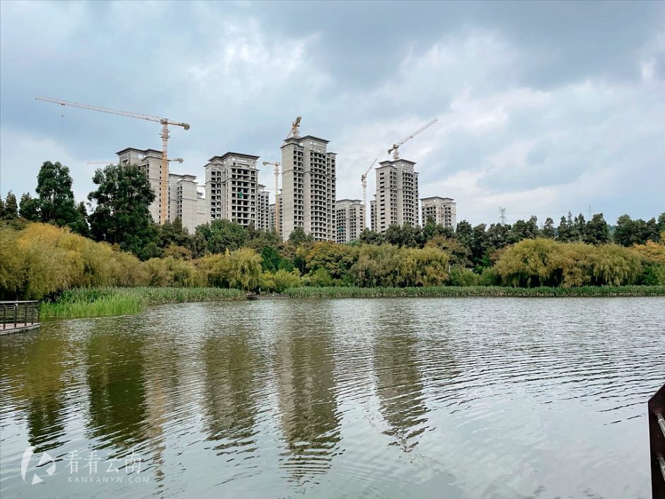 项目实景