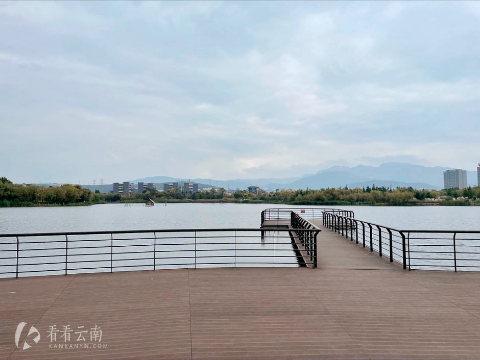 公园实景