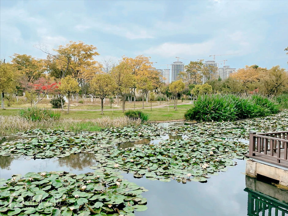 渔浦寒泉生态湿地公园（在建项目为云麓湾）