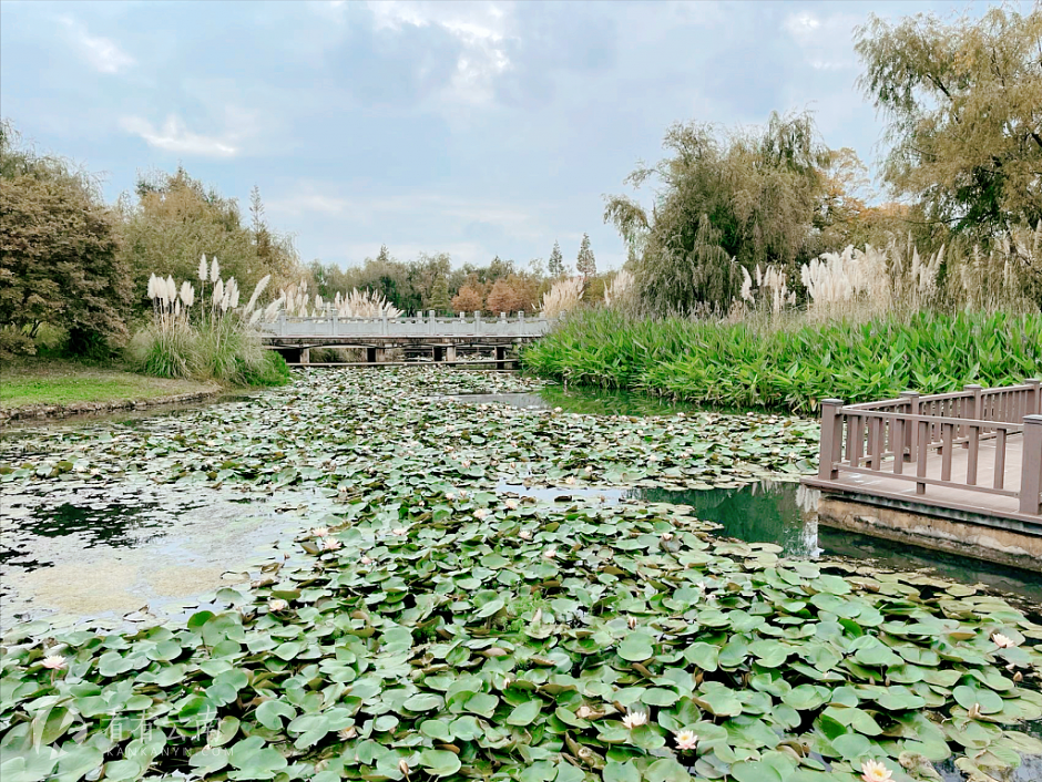 渔浦寒泉生态湿地公园实景