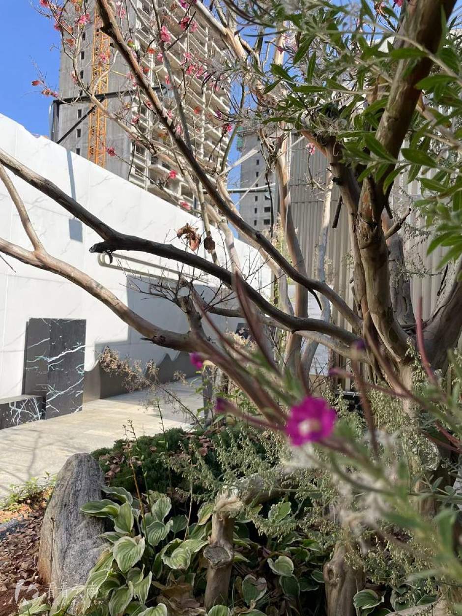 2022年11月2日，滇池珺睿样板园区现场