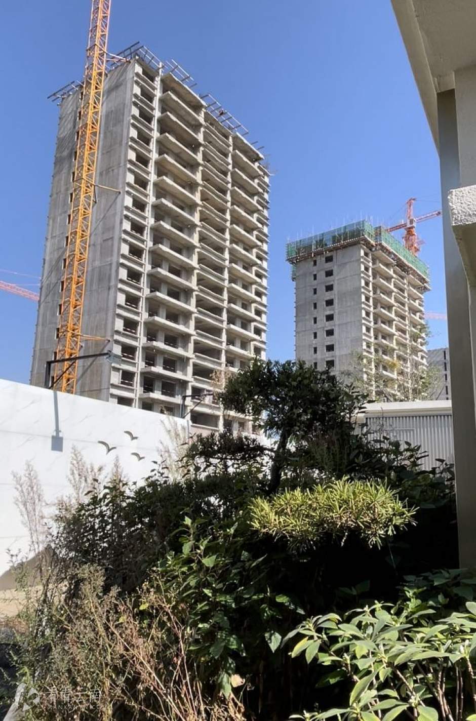 项目样板园区实景