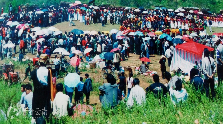 图片源于网络，侵权必删