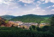 连续三年两位数正增长,泰康幸福有约跑出“加速度”-看看云南