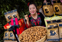 云南大姚乡村振兴的新三板斧:绿色农业,绿色能源,康养目的地-看看云南