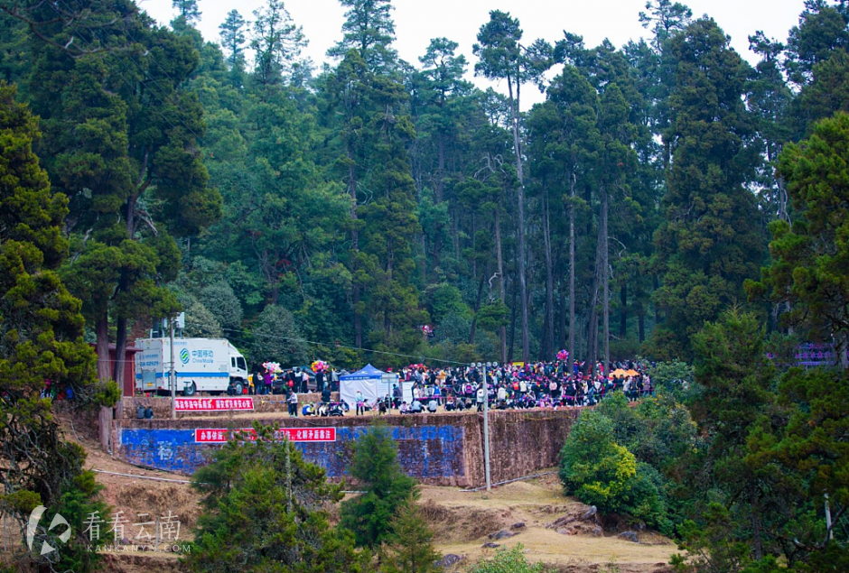 大姚昙华插花节举办地千柏林实景
