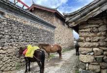 丽江这个小众的避世村落，百年前的美国探险家洛克曾在此栖息27载-看看云南