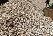 走进古滇文化,传承中华优秀文化!云南首开沉浸式考古体验-看看云南