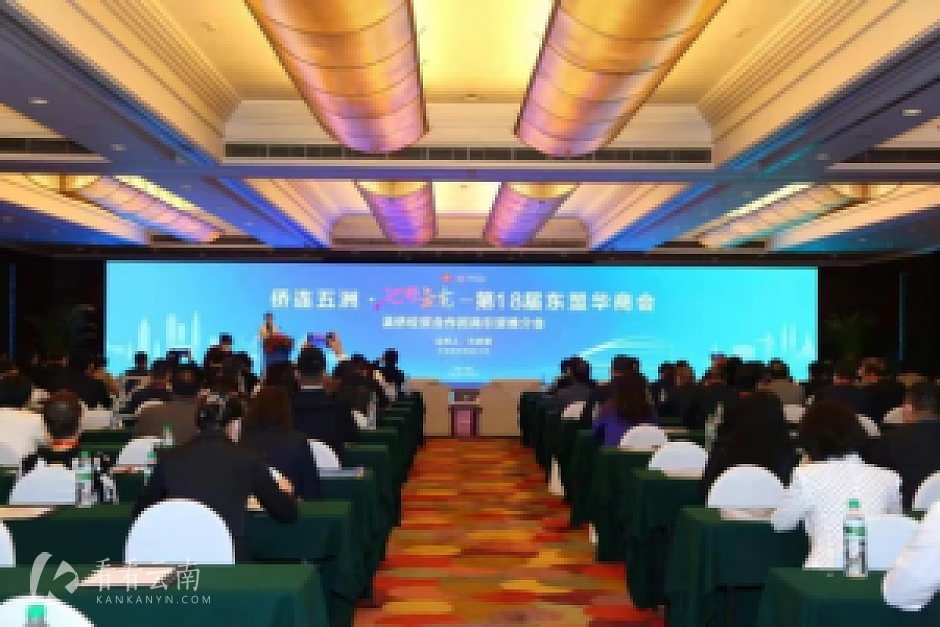 (第18届东盟华商会现场图)