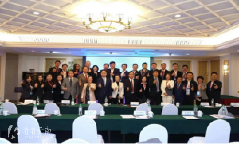(第18届东盟华商会现场图)