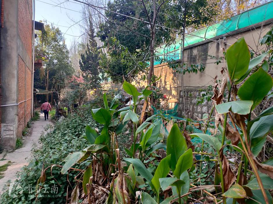 未改造前的砖瓦厂小区实景