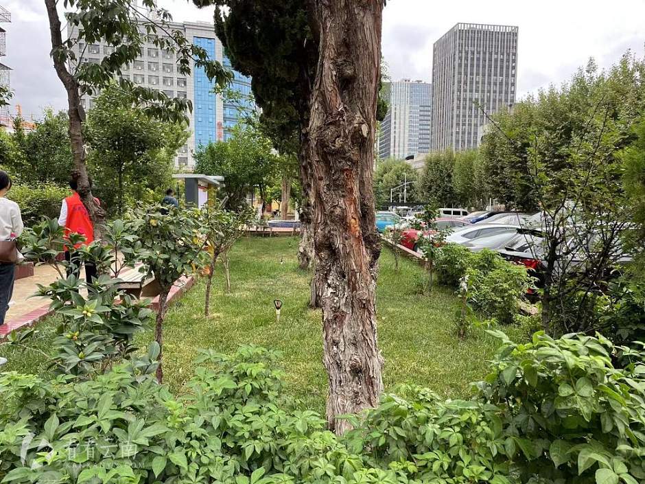 改造好的关岭路89号院