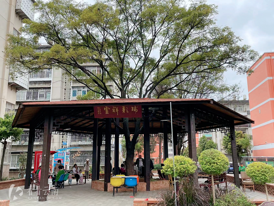 改造好的砖瓦厂小区实景