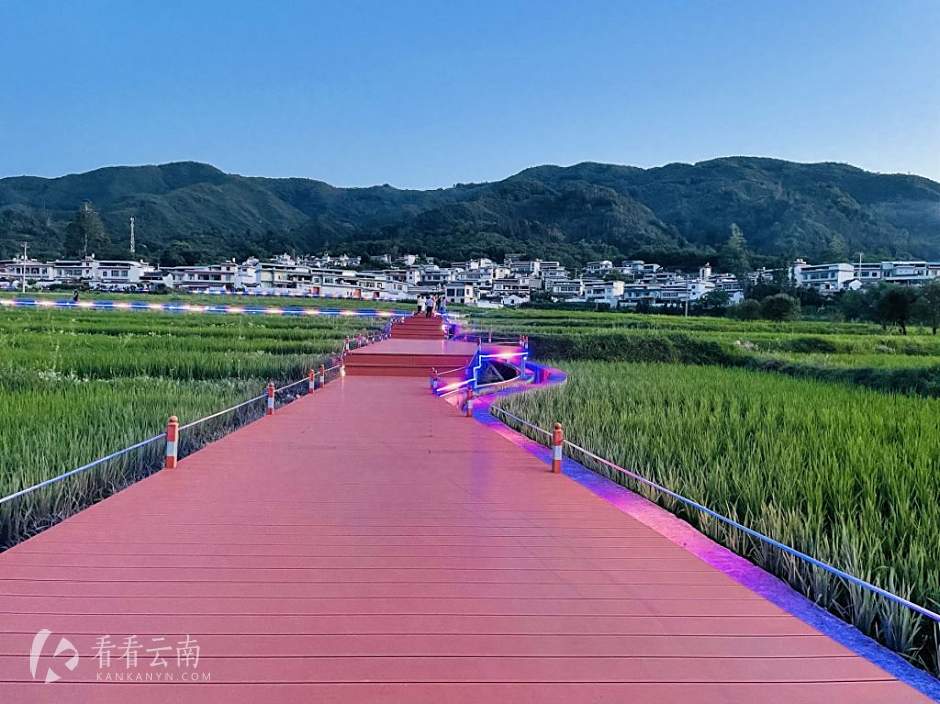 春季时的勐佑坝子