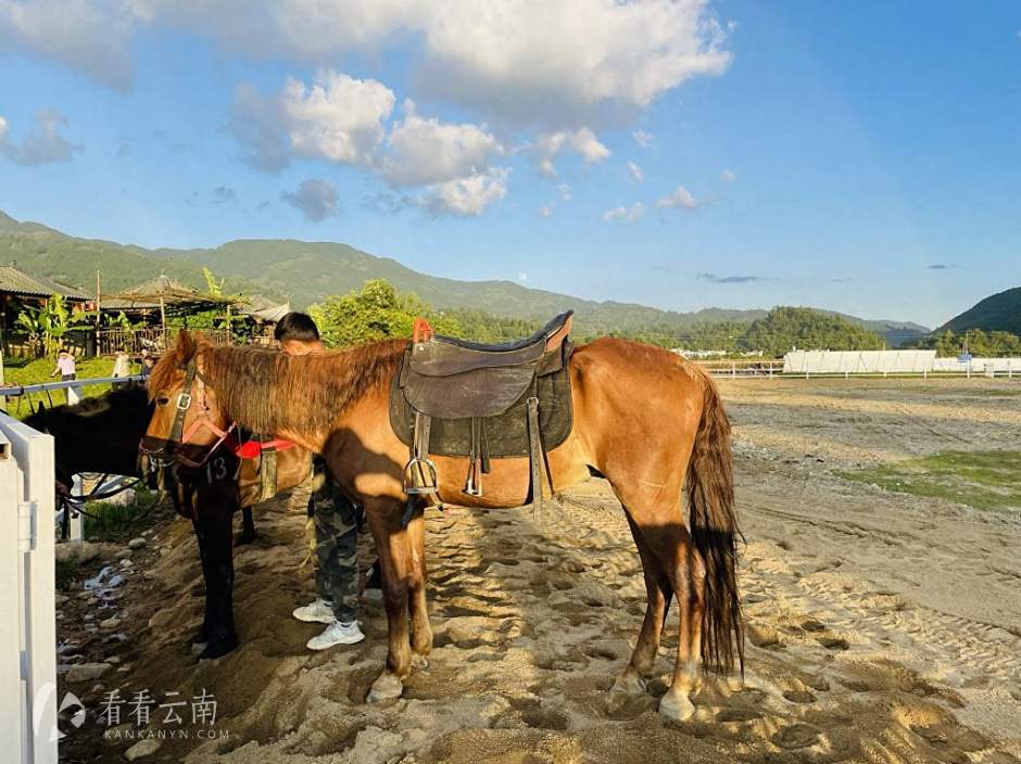 勐佑镇，也有马场
