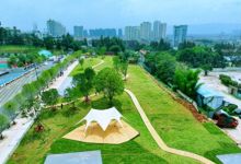 曲靖火车站东南侧种下450余棵乔木，为绿美曲靖再添绿增彩-看看云南