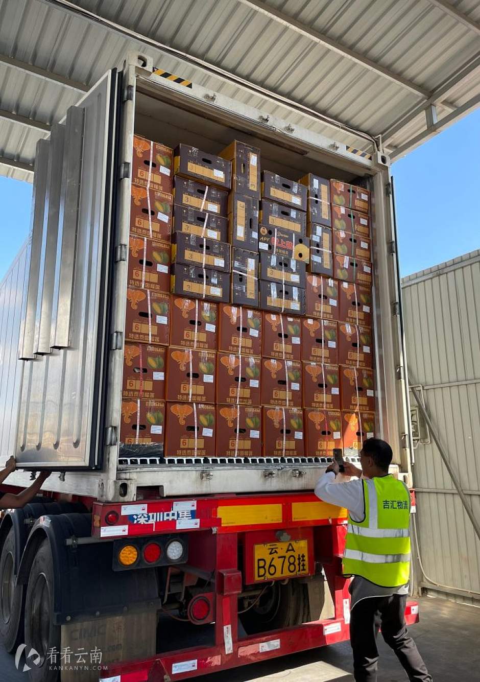 11月8日，运抵昆明王家营的泰国榴莲