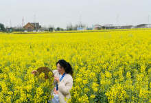 跟随曲靖民歌，耍遍爨地曲靖大美山水，品味曲靖特色美食-看看云南