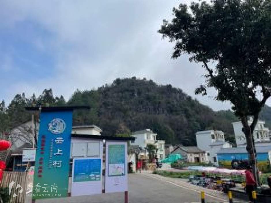 云南罗平,云上村一角