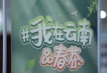 让世界看见临沧茶！“我在云南品春茶”临沧站活动启幕-看看云南