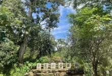 四城联动溯源云茶产业带，打通甘醇云茶全链增长新路径-看看云南