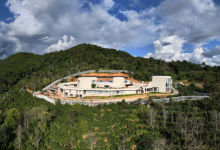 云南普洱,这家咖啡庄园有野象常出没-看看云南