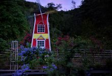 种了一辈子咖啡的廖爷爷,今年83岁了,仍在琢磨咖啡-看看云南